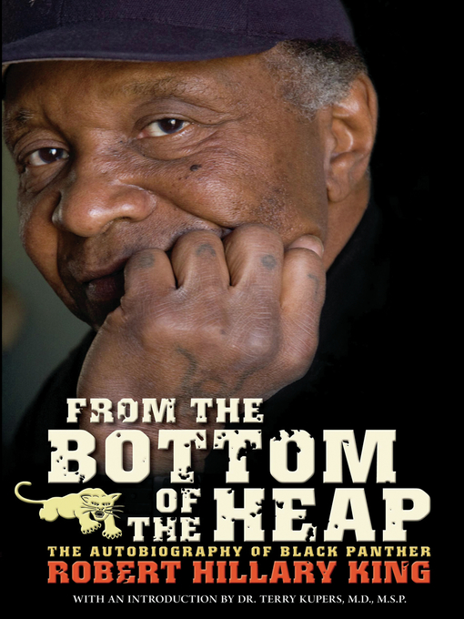 Title details for From the Bottom of the Heap by Robert Hillary King - Available